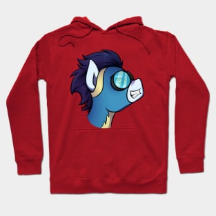 Soarin' Hoodie